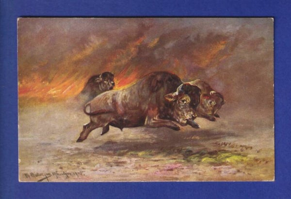 BISON