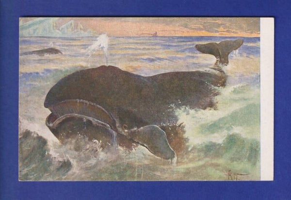 BALEINE