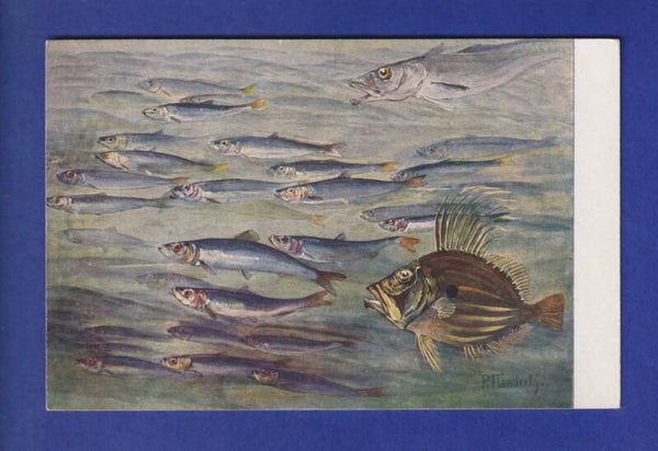 POISSONS