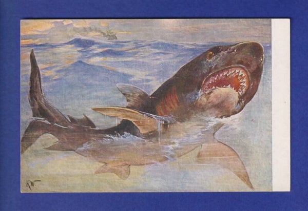 REQUIN