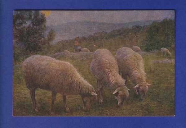 MOUTON