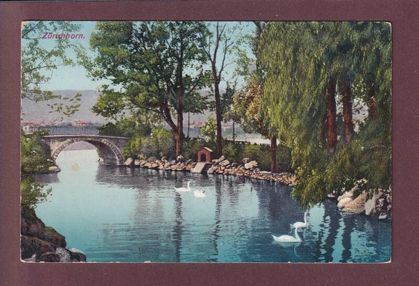 Zürich - ZÜRICHHORN - 1909
