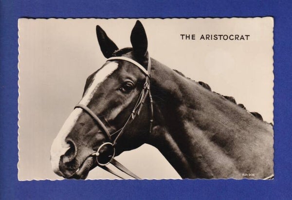 CHEVAL - The Aristocrat