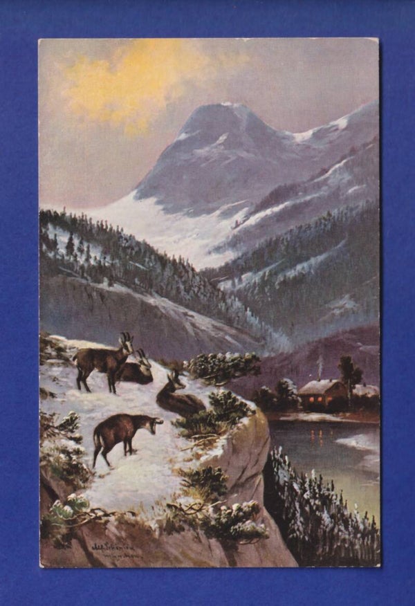 CHAMOIS