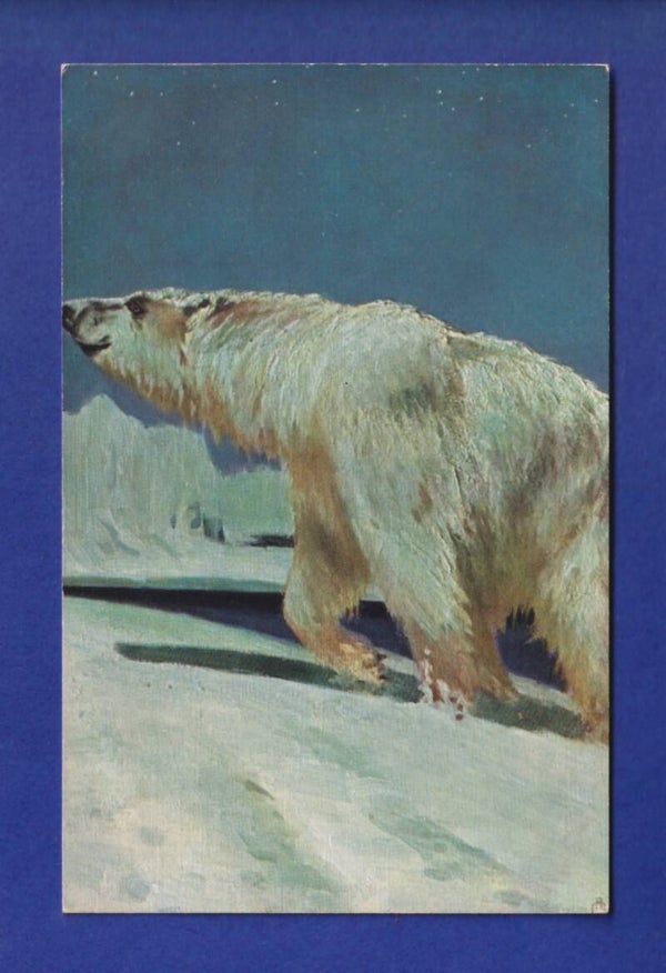 OURS POLAIRE