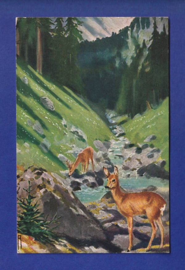 CERF et BICHE
