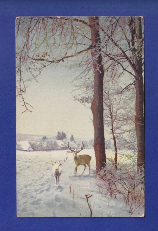 CERF