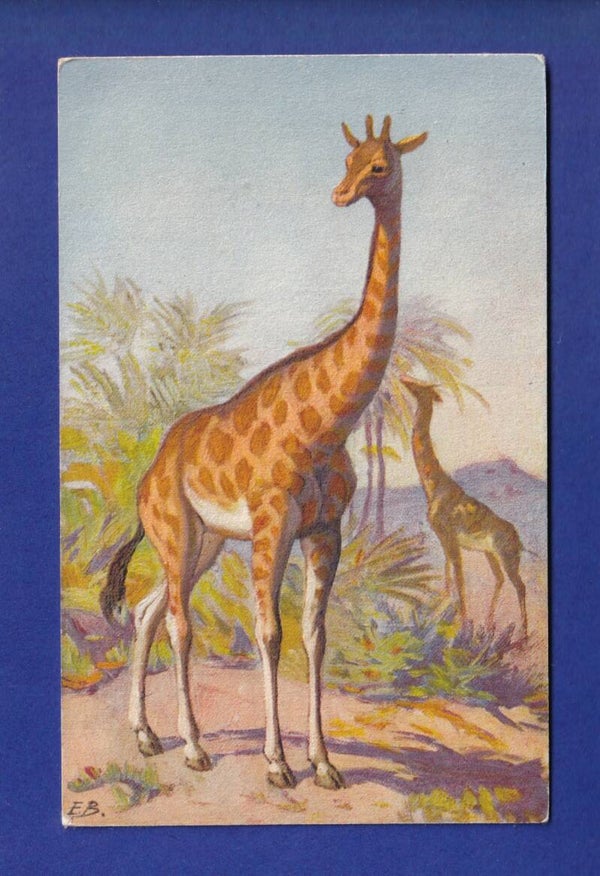 GIRAFE // voir dos //
