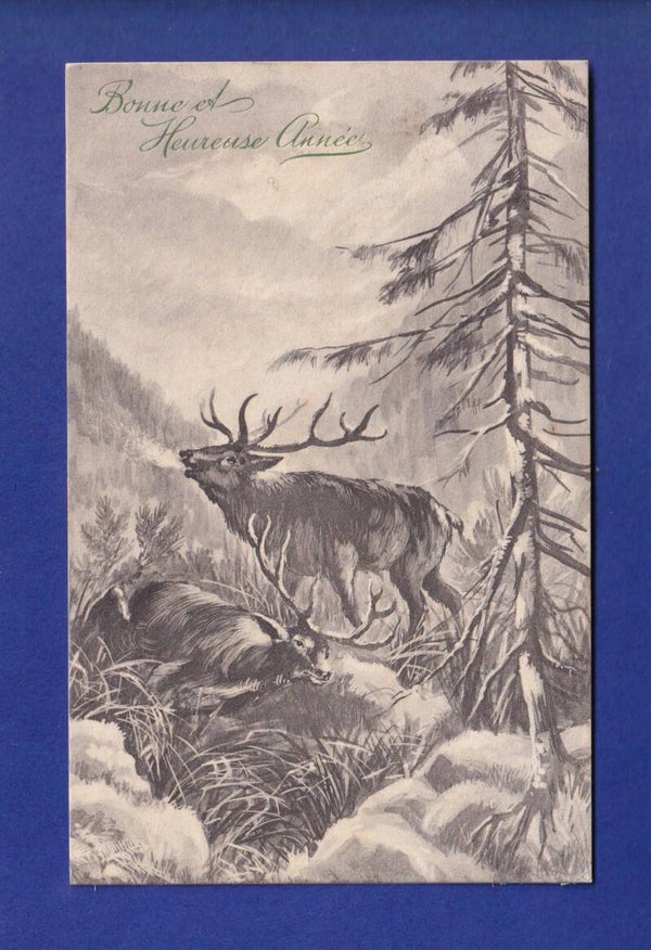 CERF - Bonne Année