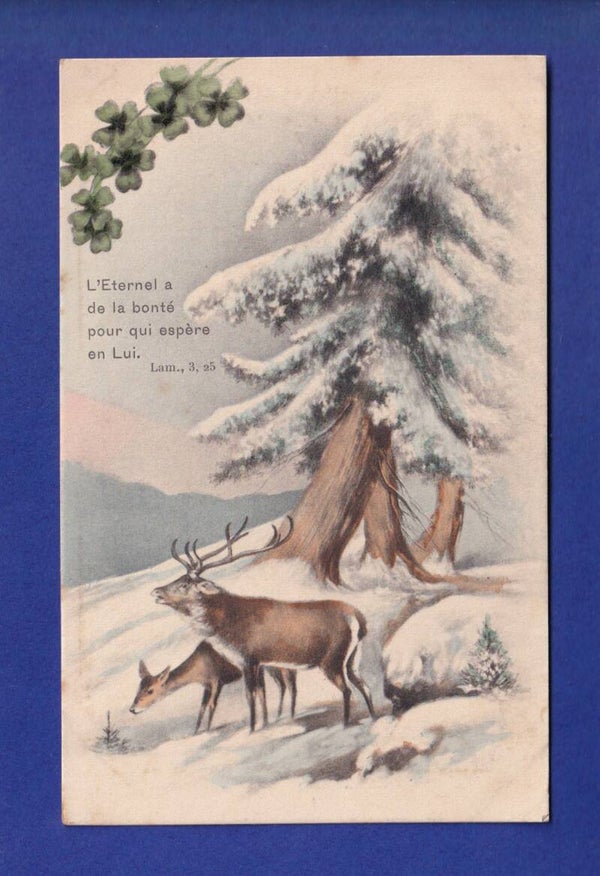 CERF et BICHE - Verset
