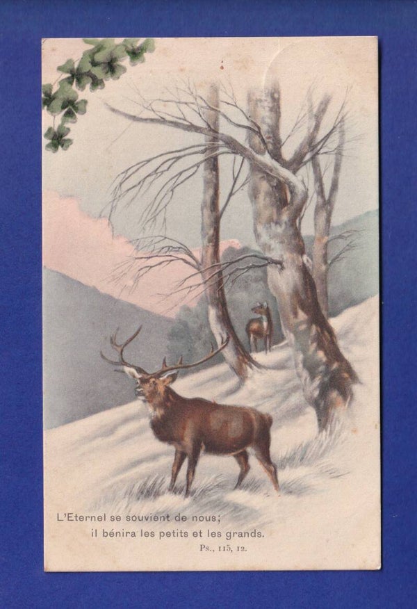 CERF et BICHE - Verset