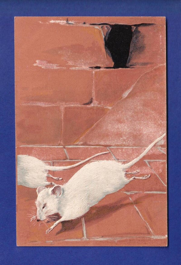 SOURIS - Carte gauffrée