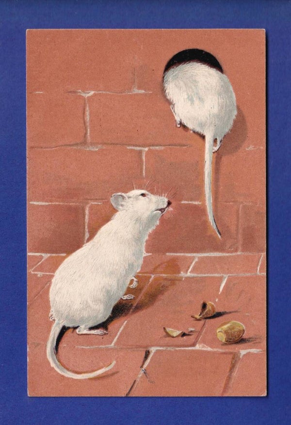 SOURIS - Carte gauffrée