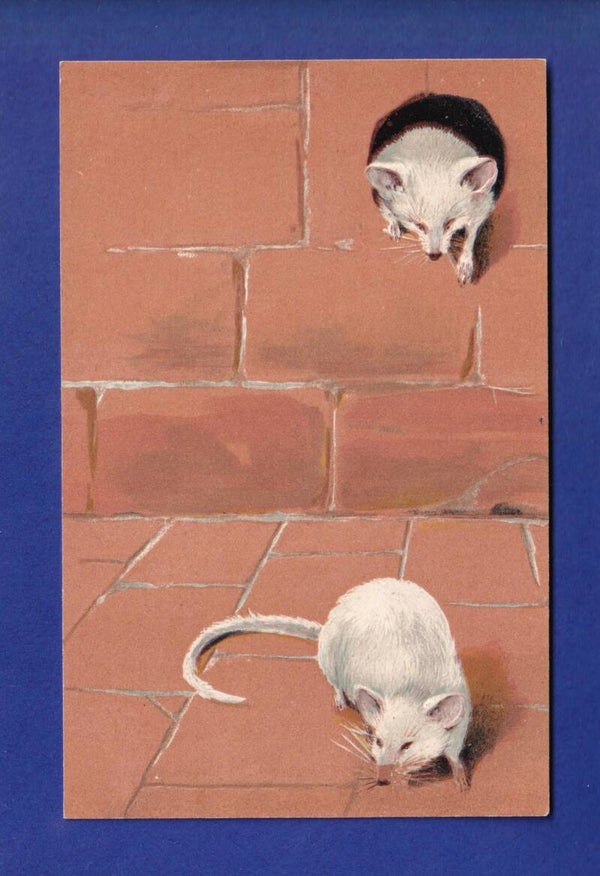 SOURIS - Carte gauffrée
