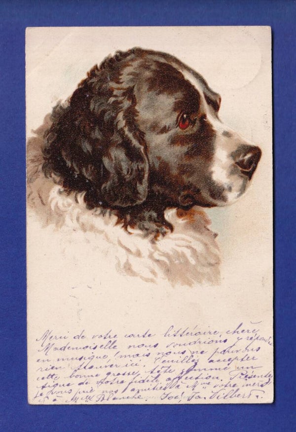 CHIEN / HUND