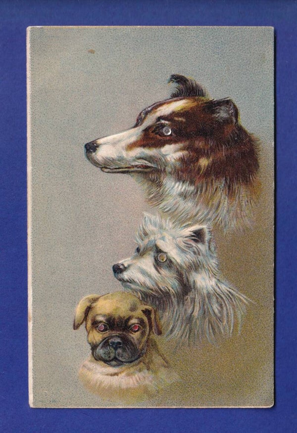 CHIEN / HUND - Carte gauffrée