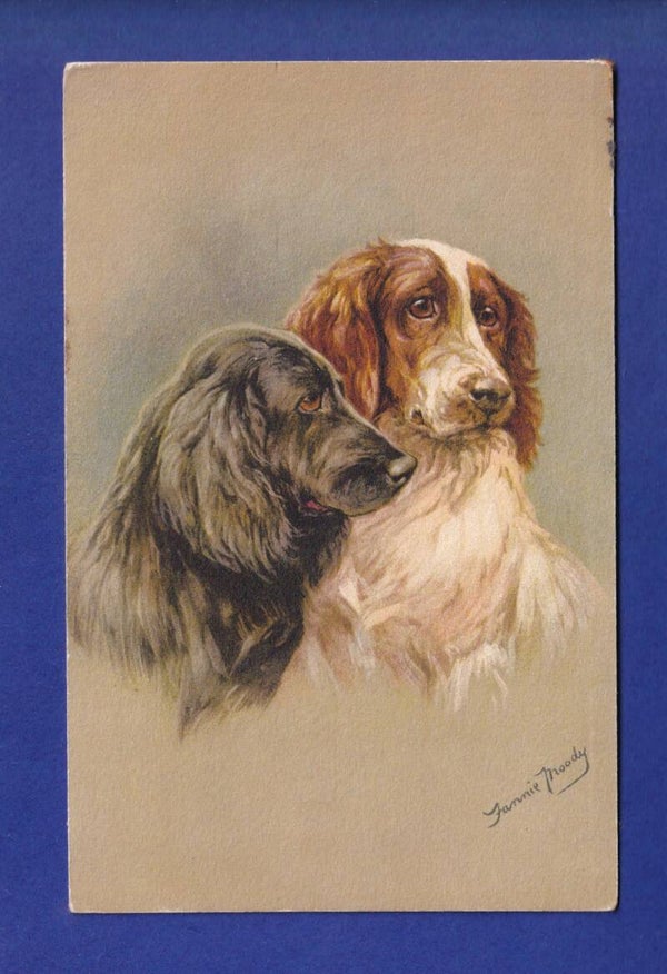 CHIEN / HUND - Jannie Moody // voir dos //