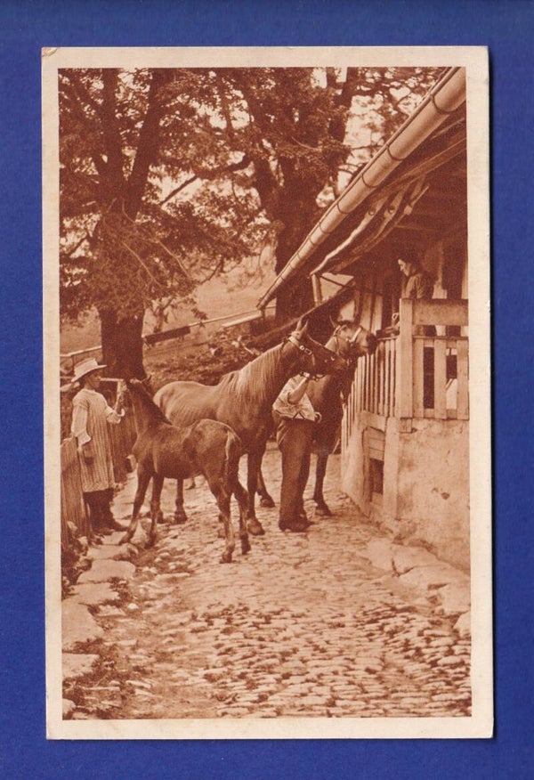 CHEVAL - Feldpost