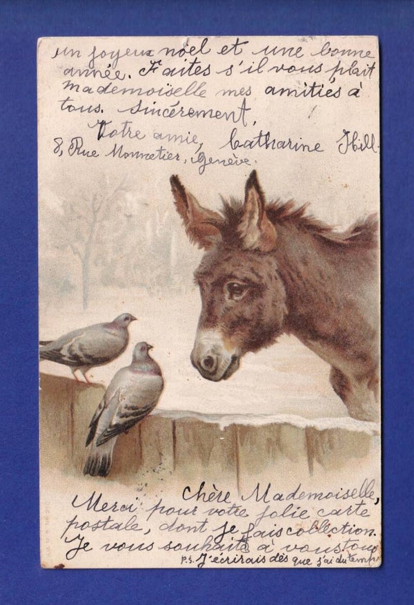 ANE et OISEAU // pli d'angle //
