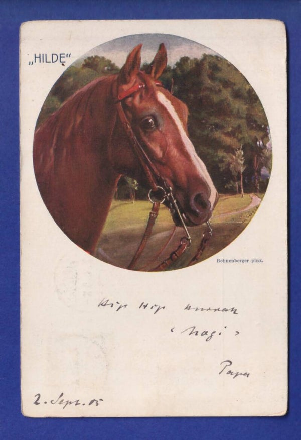 CHEVAL / PFERD - Hilde