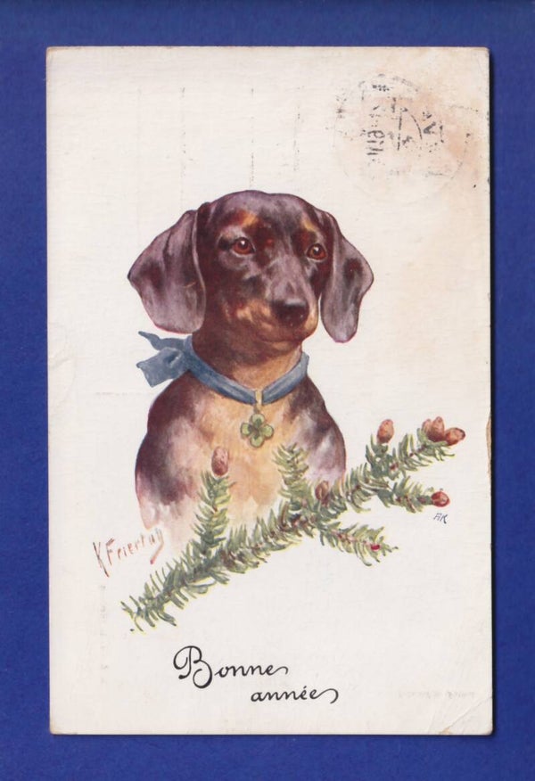 CHIEN / HUND - K. Feiertag // couches désolidarisées //