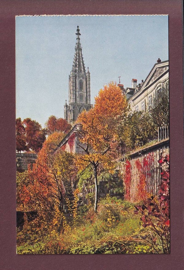 BERN - Münster