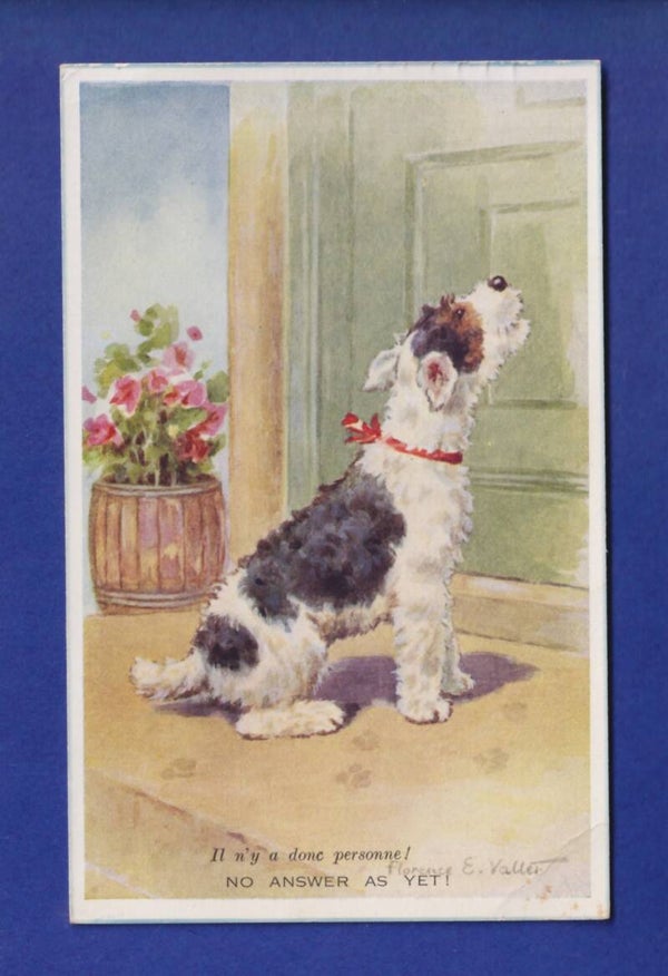 CHIEN / HUND - No answer as yet ! // pli d'angle //