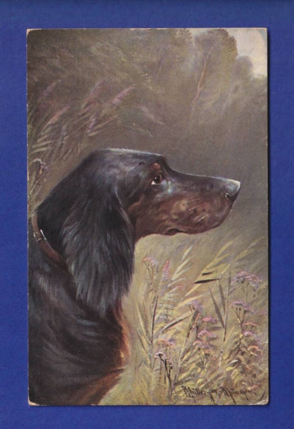 CHIEN / HUND