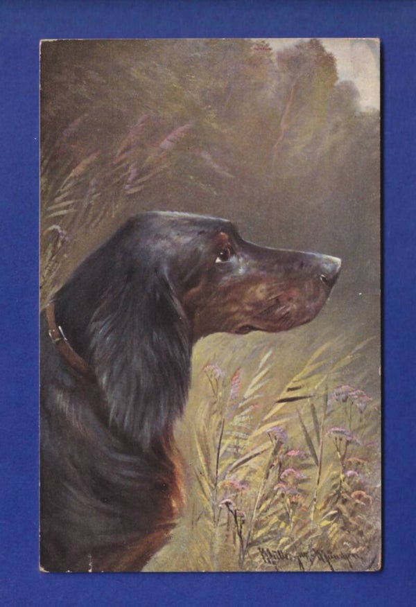 CHIEN / HUND