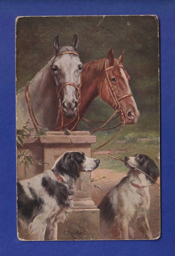 CHIEN et CHEVAL / HUND und PFERD