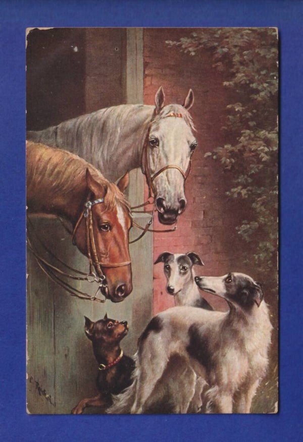 CHIEN et CHEVAL / HUND und PFERD