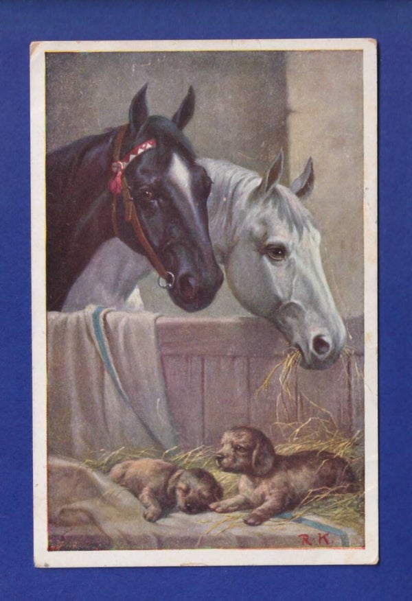 CHIEN et CHEVAL / HUND und PFERD