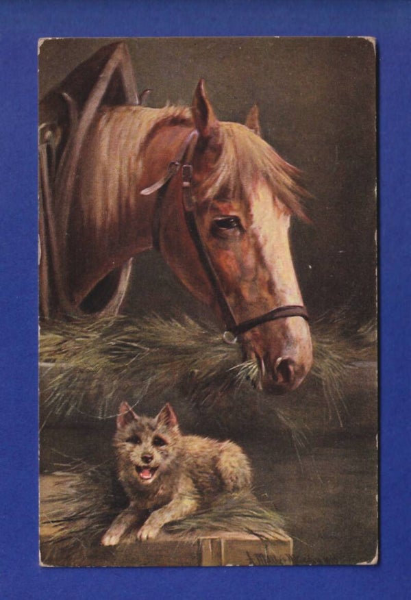 CHIEN et CHEVAL / HUND und PFERD