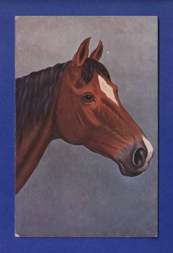 CHEVAL / PFERD