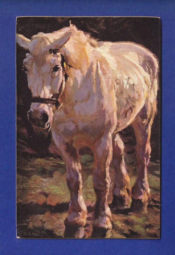 CHEVAL / PFERD