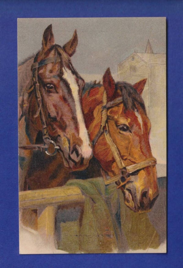 CHEVAL / PFERD