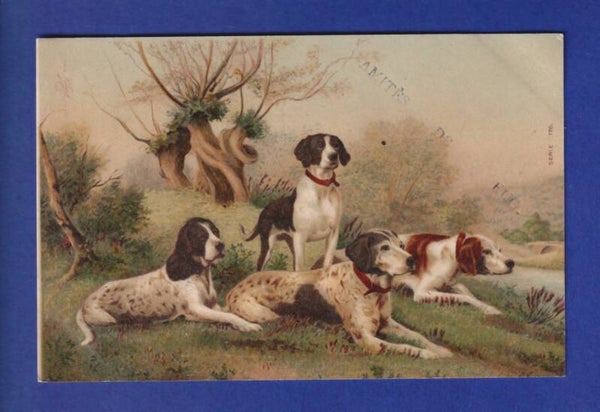 CHIEN / HUND