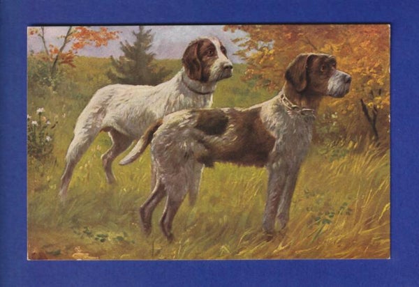 CHIEN / HUND