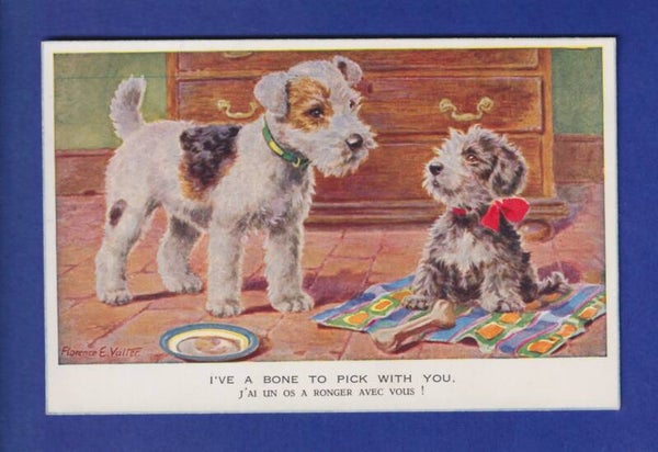 CHIEN / HUND - I've a bone to pick with you