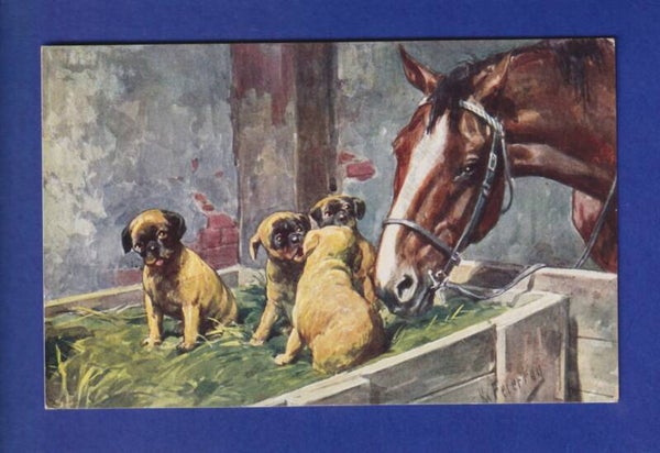 CHEVAL et CHIEN / PFERD und HUND