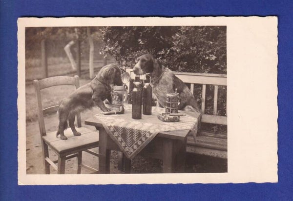CHIEN - Santé ! / HUND - Prosit !