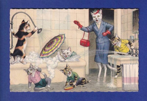 CHAT - Chats humanisés