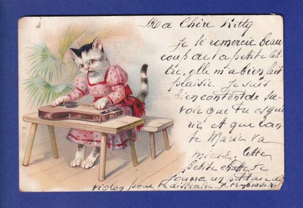 CHAT - Chats humanisés