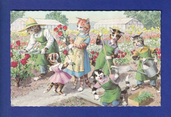 CHAT - Chats humanisés