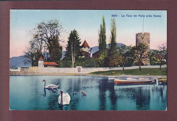 La TOUR-DE-PEILZ - Cygnes