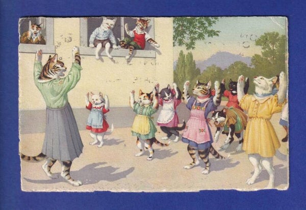 CHAT - Chats humanisés