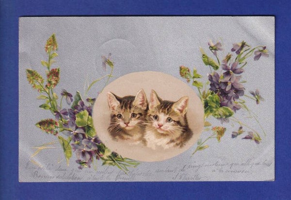 CHAT - Chats et fleurs