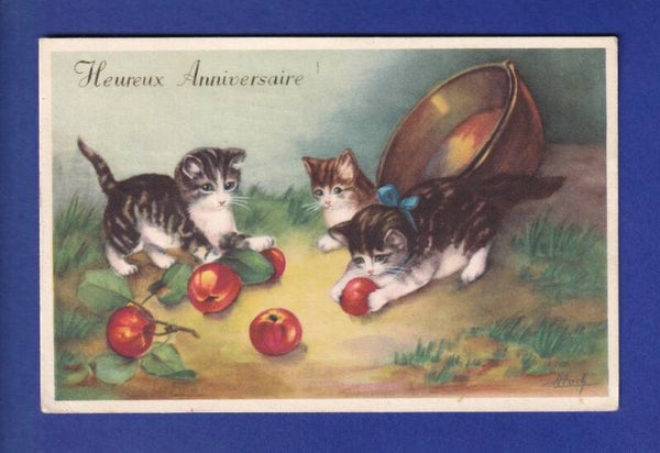 CHAT - Chats joueurs