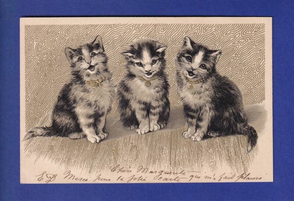 CHAT - 3 chats - Carte gauffrée // pli //