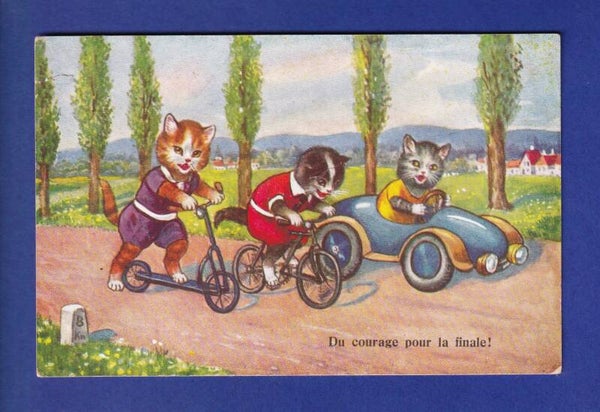 CHAT - Chats humanisés - La Course // déchirure //